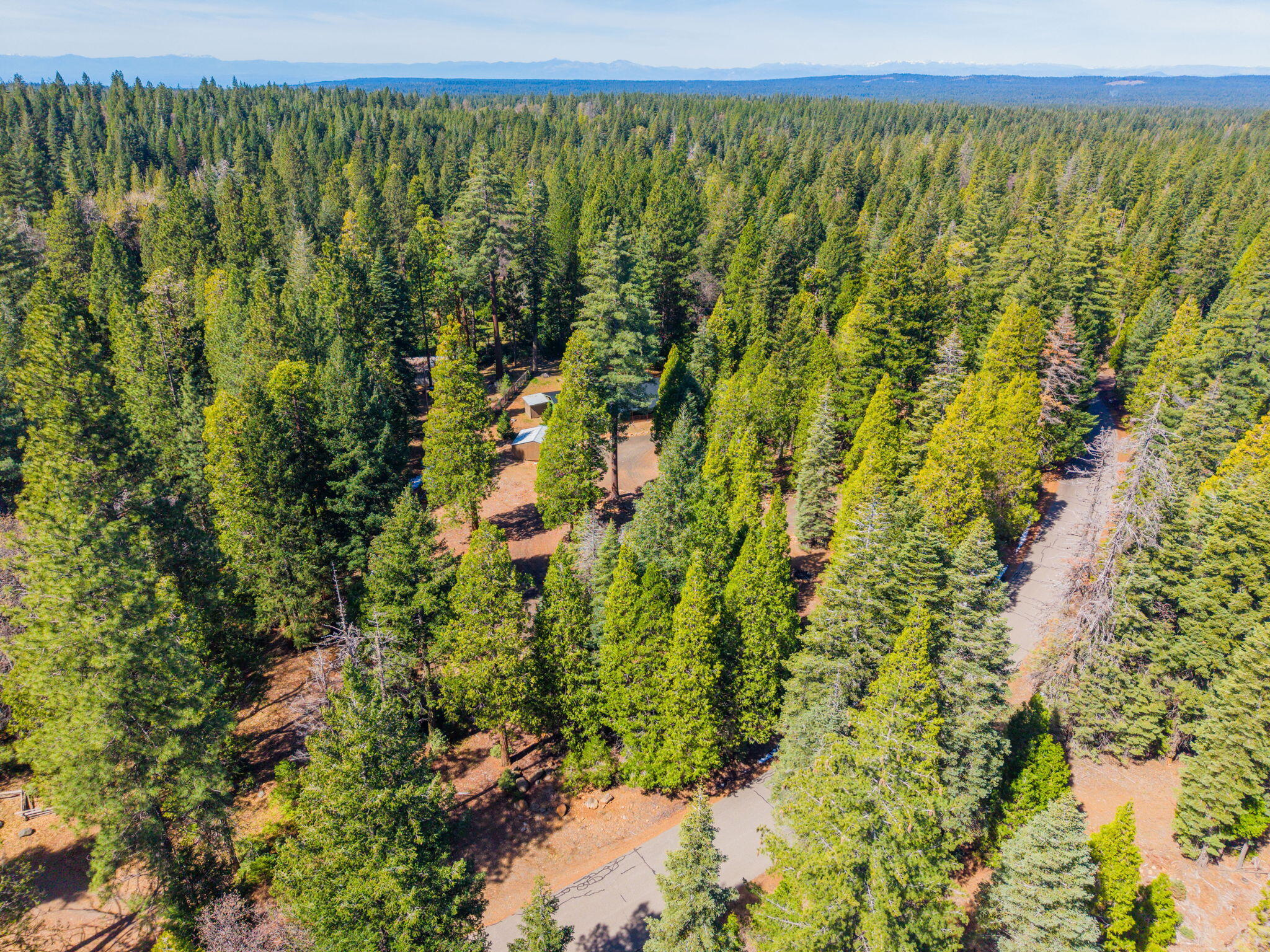 7682 Brokeoff Meadows Road Shingletown, CA 96088 - Photo 56 of 61 a view of a green field