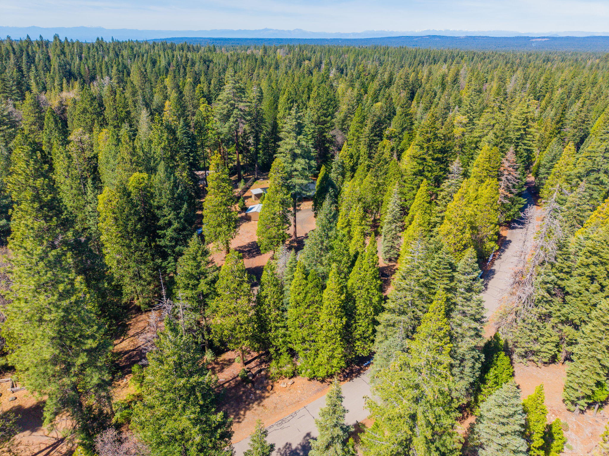 7682 Brokeoff Meadows Road Shingletown, CA 96088 - Photo 60 of 64 Surrounding area