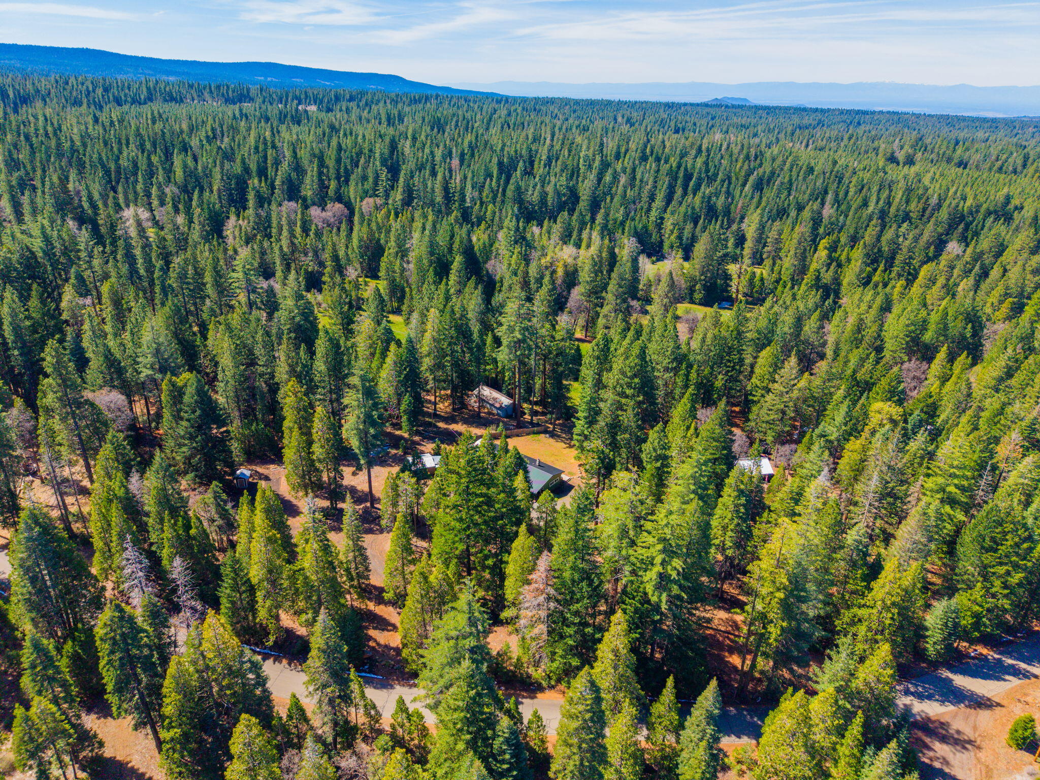 7682 Brokeoff Meadows Road Shingletown, CA 96088 - Photo 61 of 64 Surrounding area