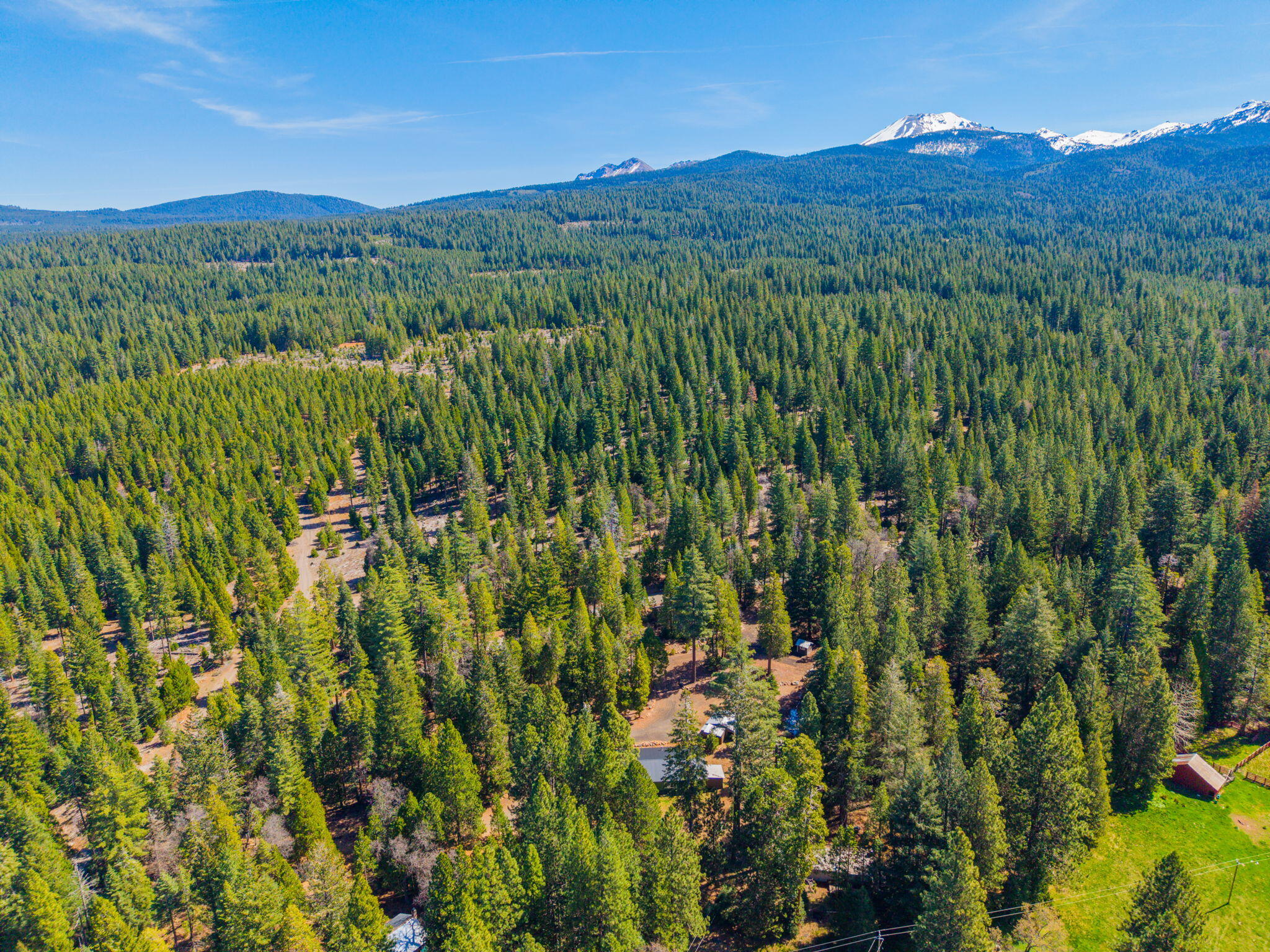 7682 Brokeoff Meadows Road Shingletown, CA 96088 - Photo 62 of 64 Surrounding area