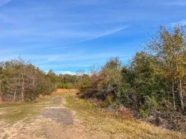 $127,500 | 10 Fm 787, Saratoga, TX 77585