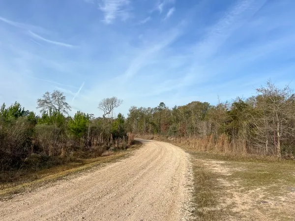 $127,500 | 10 Fm 787, Saratoga, TX 77585