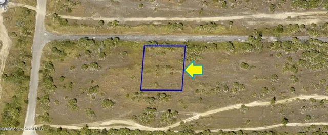 a bathroom with a sink and a shower