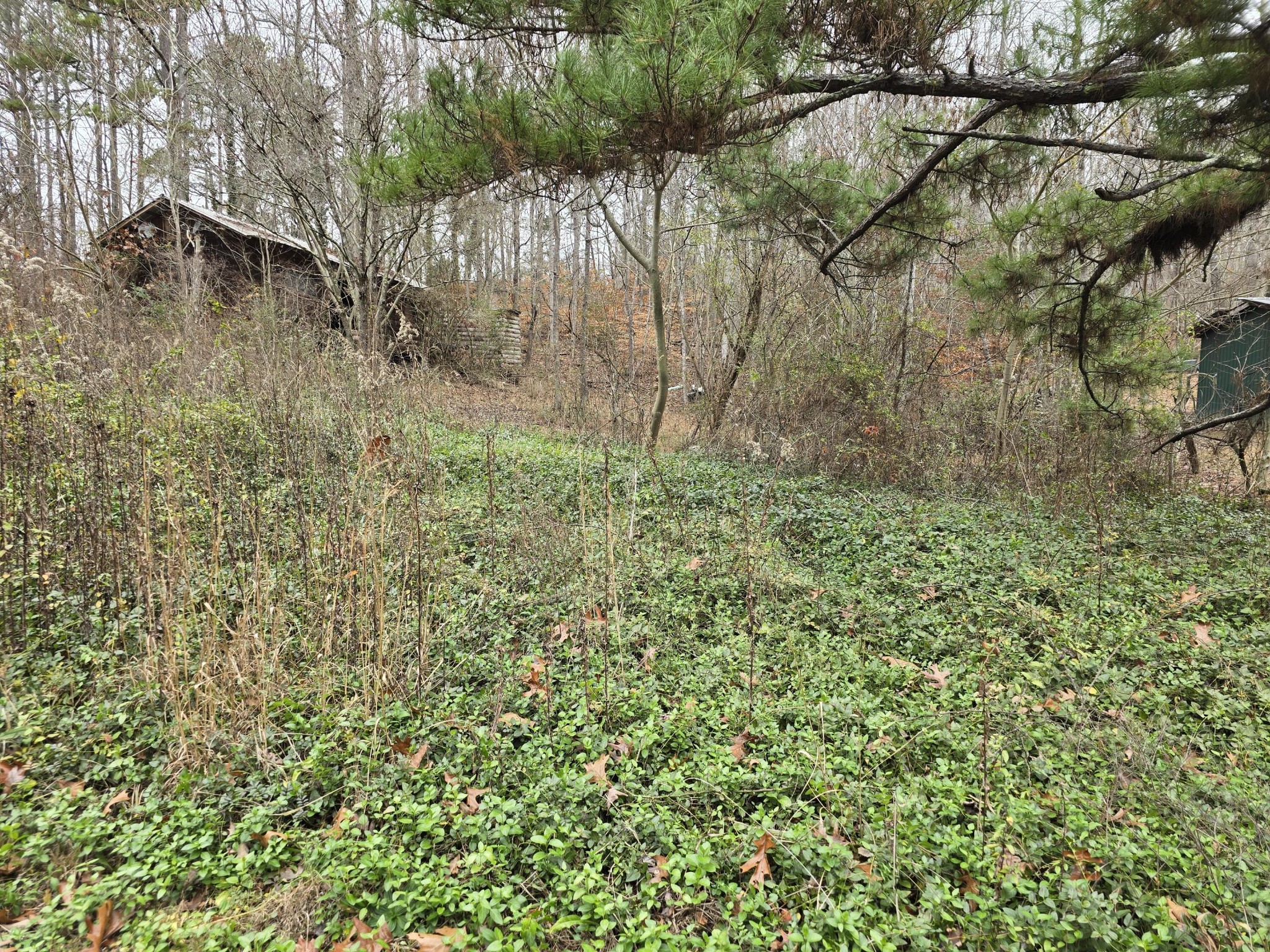 127 County Road 179 Decatur, TN 37322 - Photo 2 of 8 Gallery Image 2