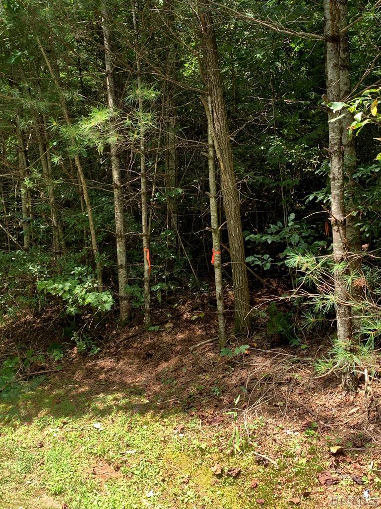 14 Staircase Falls Road Sapphire, NC 28774 - Photo 6 of 10 Gallery Image 6
