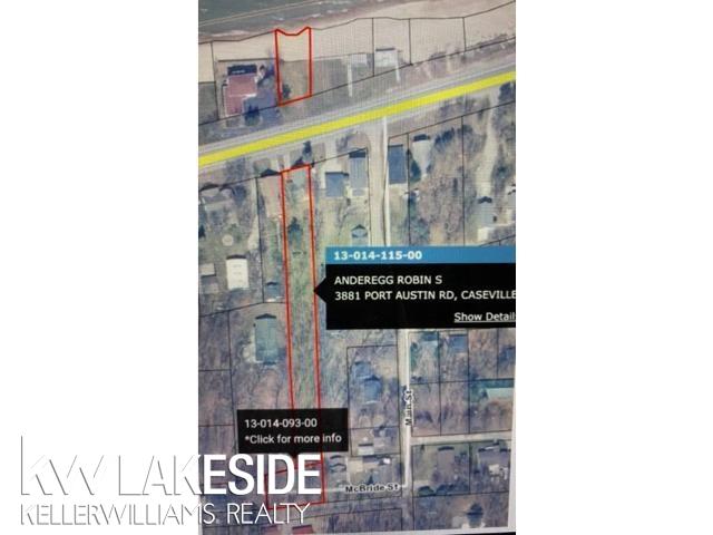 3881 Port Austin Road Caseville, MI 48725 - Photo 18 of 18