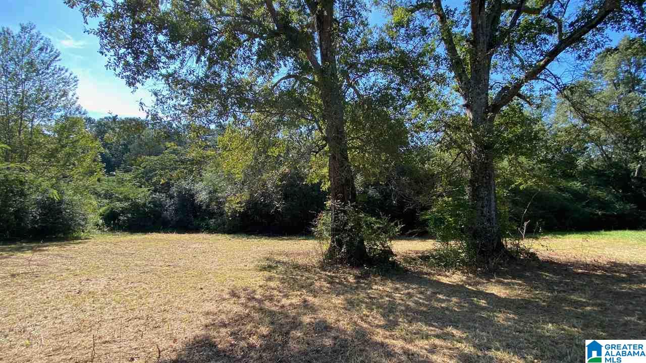 13684 Johns Road Vance, AL 35490 - Photo 9 of 18