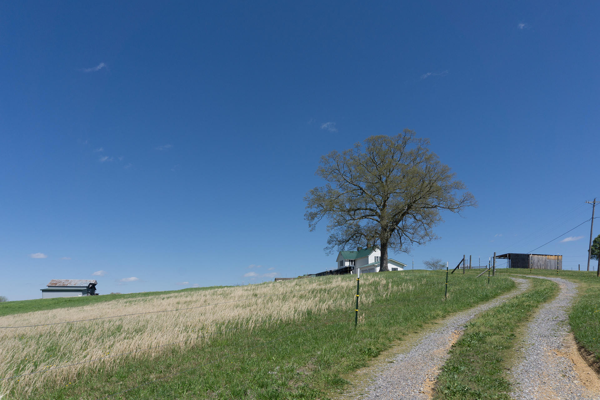 7870 West Allens Bridge Road Greeneville, TN 37743 - Photo 73 of 114 7870AllenBridgeG_01
