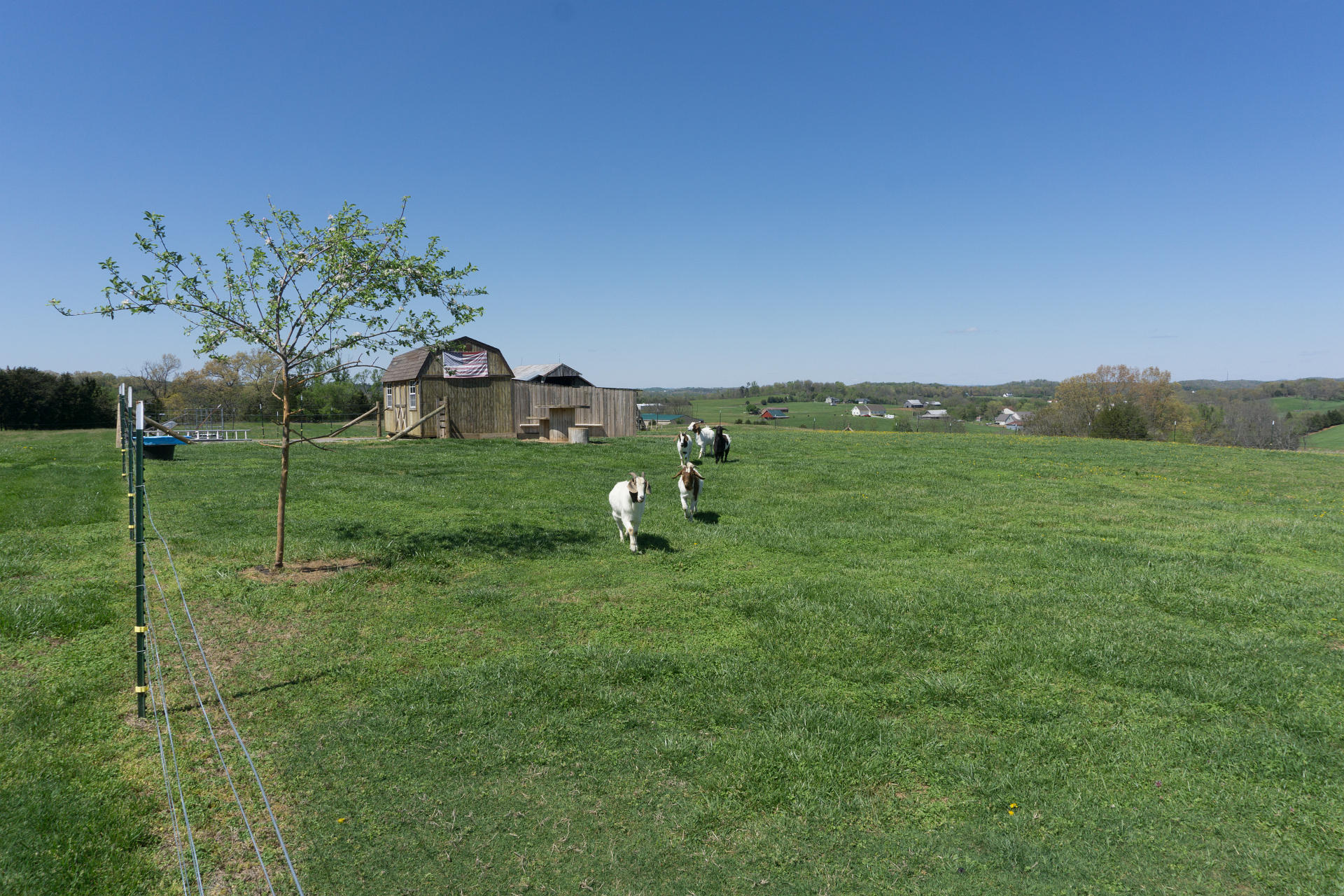 7870 West Allens Bridge Road Greeneville, TN 37743 - Photo 78 of 114 7870AllenBridgeG_06