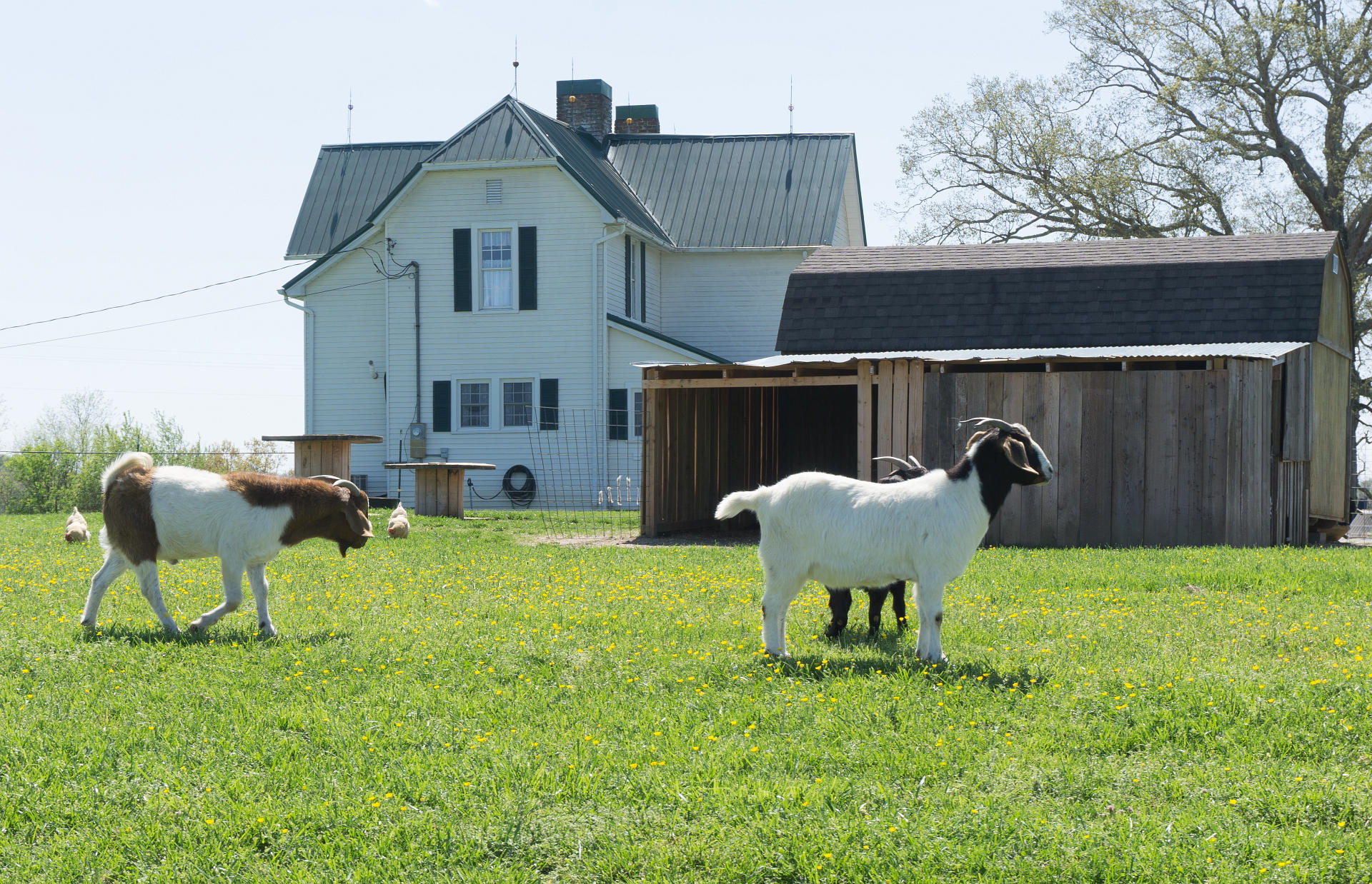 7870 West Allens Bridge Road Greeneville, TN 37743 - Photo 87 of 114 7870AllenBridgeG_17