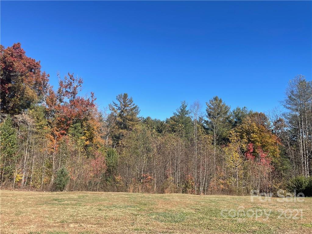 9999 Sharon Ridge Road Fairview, NC 28730 - Photo 1 of 10 Gallery Image 1