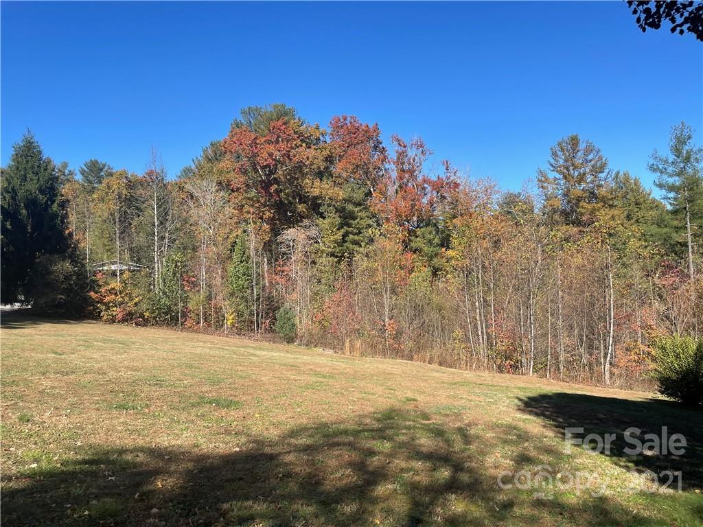 9999 Sharon Ridge Road Fairview, NC 28730 - Photo 2 of 10 Gallery Image 2