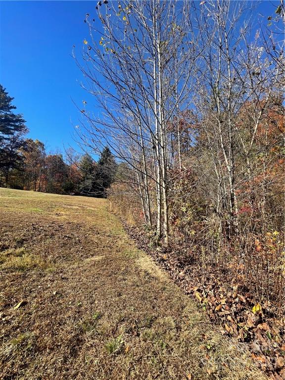 9999 Sharon Ridge Road Fairview, NC 28730 - Photo 5 of 10 Gallery Image 5