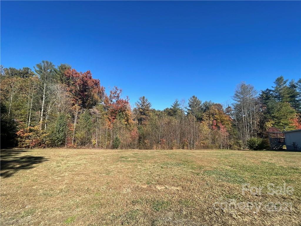 9999 Sharon Ridge Road Fairview, NC 28730 - Photo 10 of 10 Gallery Image 10