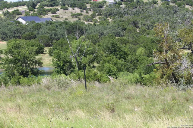 $222,500 | 239 Flickering Sky Circle, Blanco, TX 78606