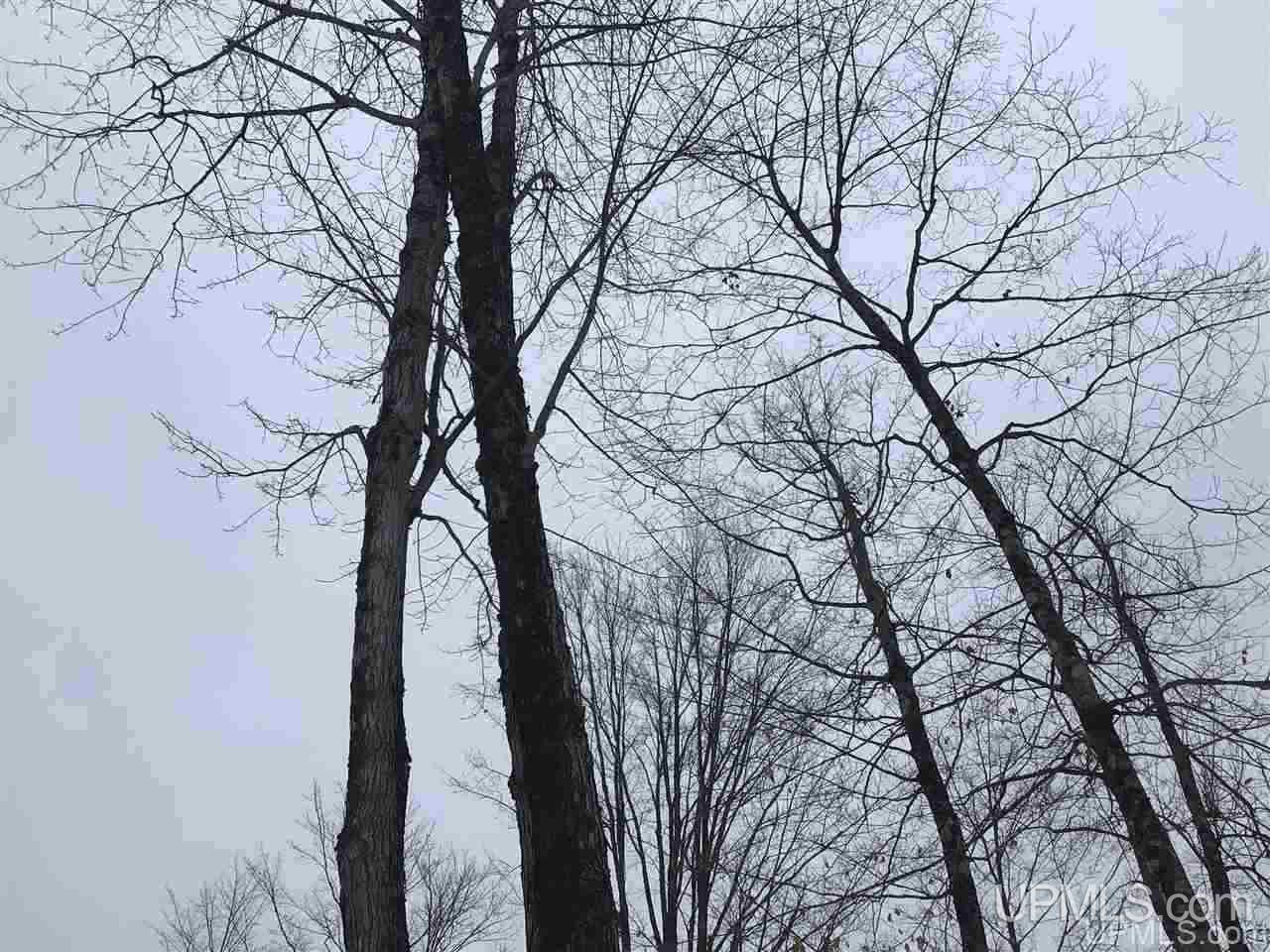 Tbd Swamp Road Powers, MI 49874 - Photo 4 of 30