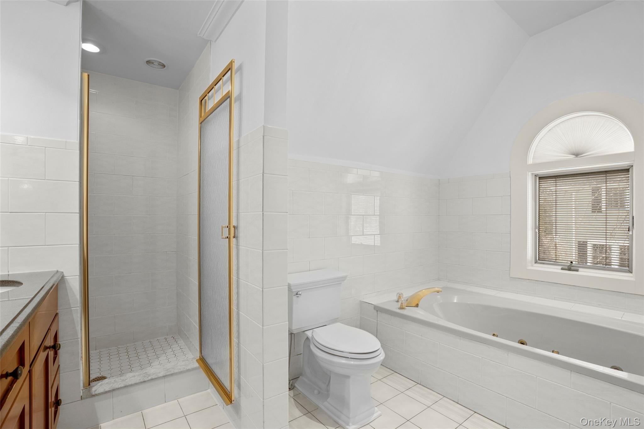 7 Poplar Road Larchmont, NY 10538 - Photo 25 of 46 a bathroom with a toilet a sink and a bathtub