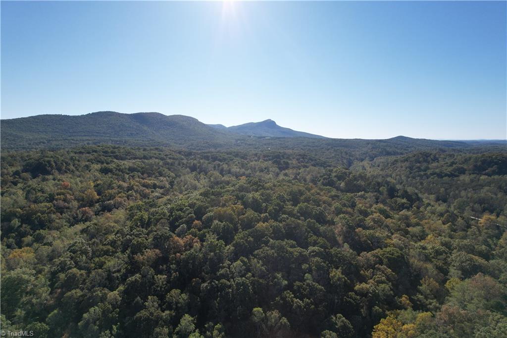 1 Seven Island Road Danbury, NC 27016 - Photo 3 of 12 Gallery Image 3