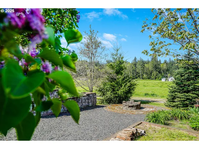 a view of a backyard with plants