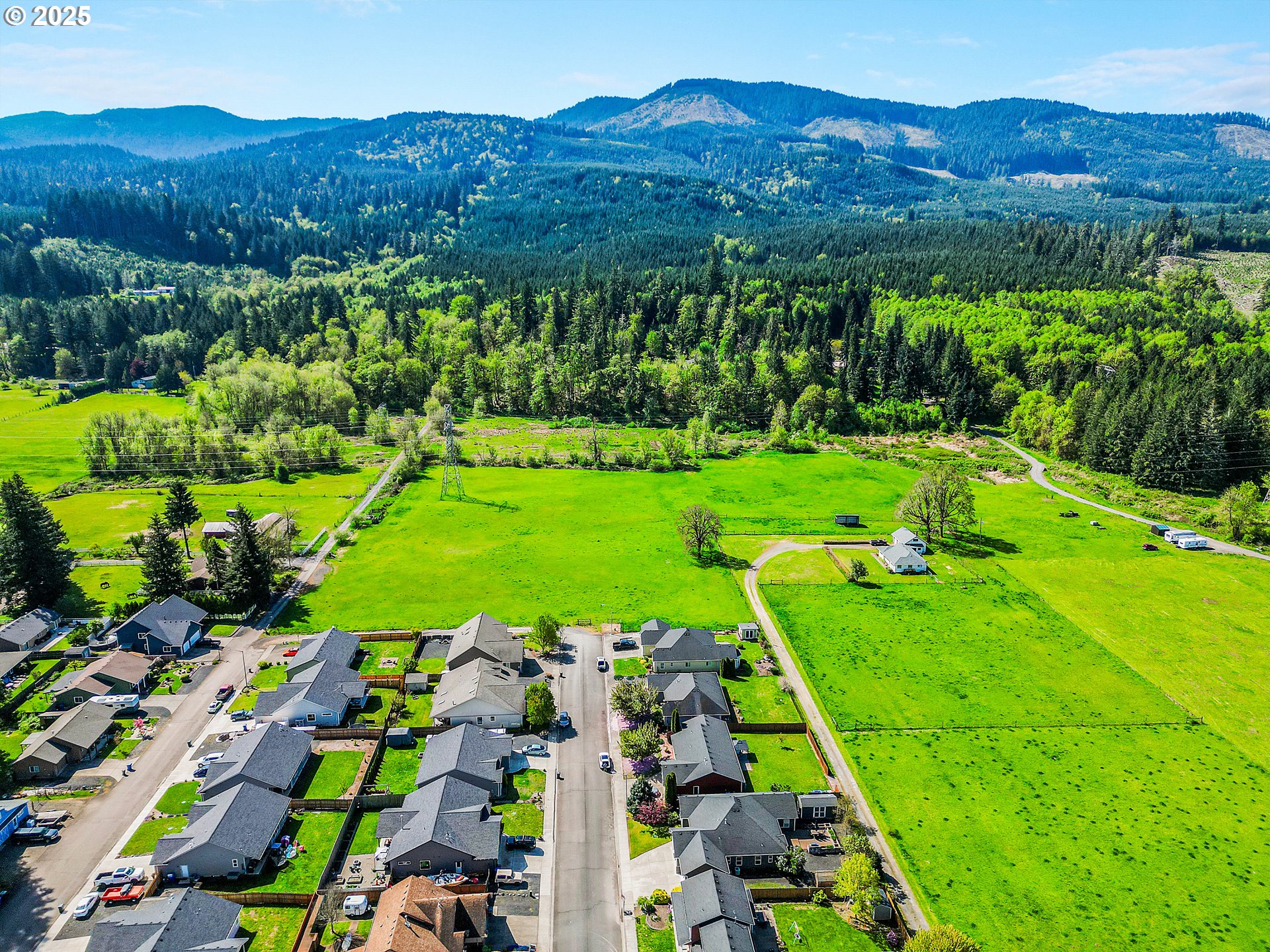 1231 Southwest 3rd Avenue Mill City, OR 97360 - Photo 5 of 48 a view of backyard with outdoor space and street view