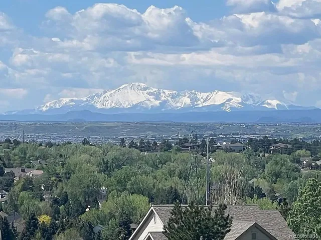 a view of a city with lush green forest