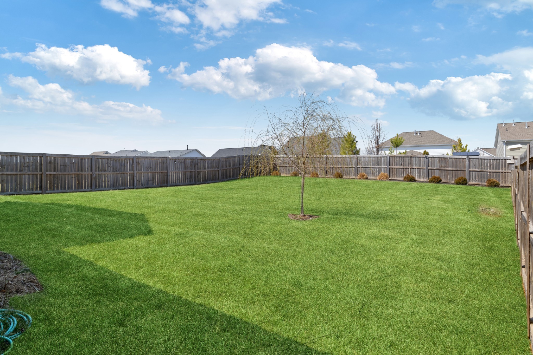 1004 Violet Street Spring Hill, TN 37174 - Photo 40 of 55