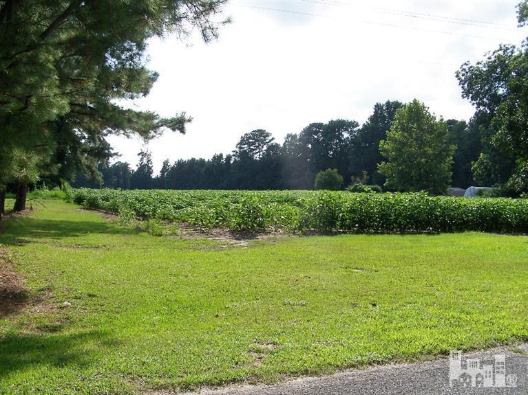 1111 Keener Road Faison, NC 28341 - Photo 1 of 5 Primary Photo