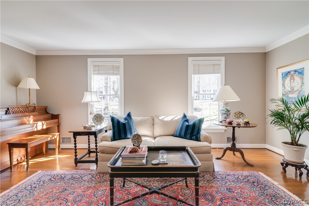 14020 Netherfield Drive Midlothian, VA 23113 - Photo 9 of 50 a living room with furniture a rug a lamp and a window