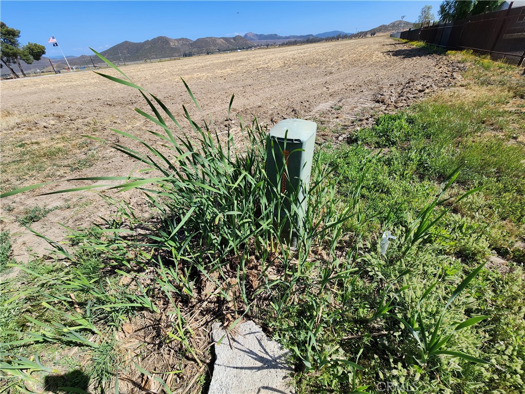 0 Olive Winchester, CA 92596 - Photo 19 of 43 a view of a yard with a tree