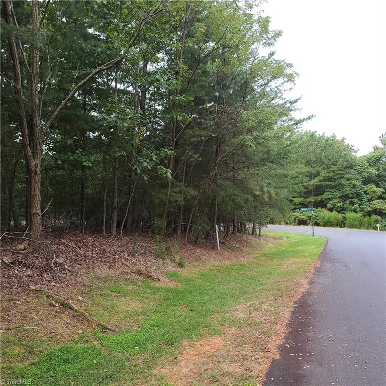 156 Sierra Trace Road Denton, NC 27239 - Photo 1 of 6