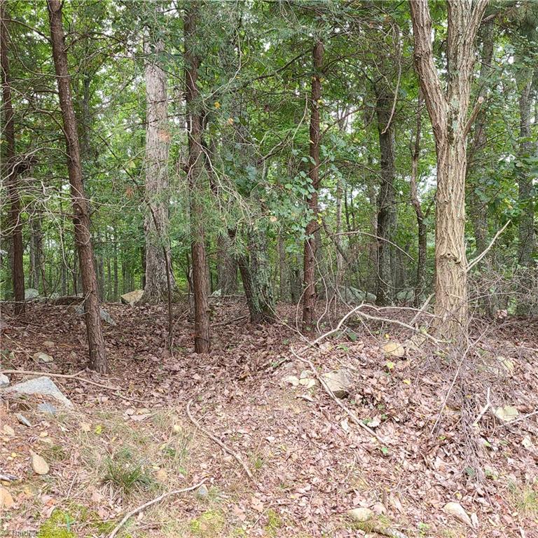 156 Sierra Trace Road Denton, NC 27239 - Photo 2 of 6