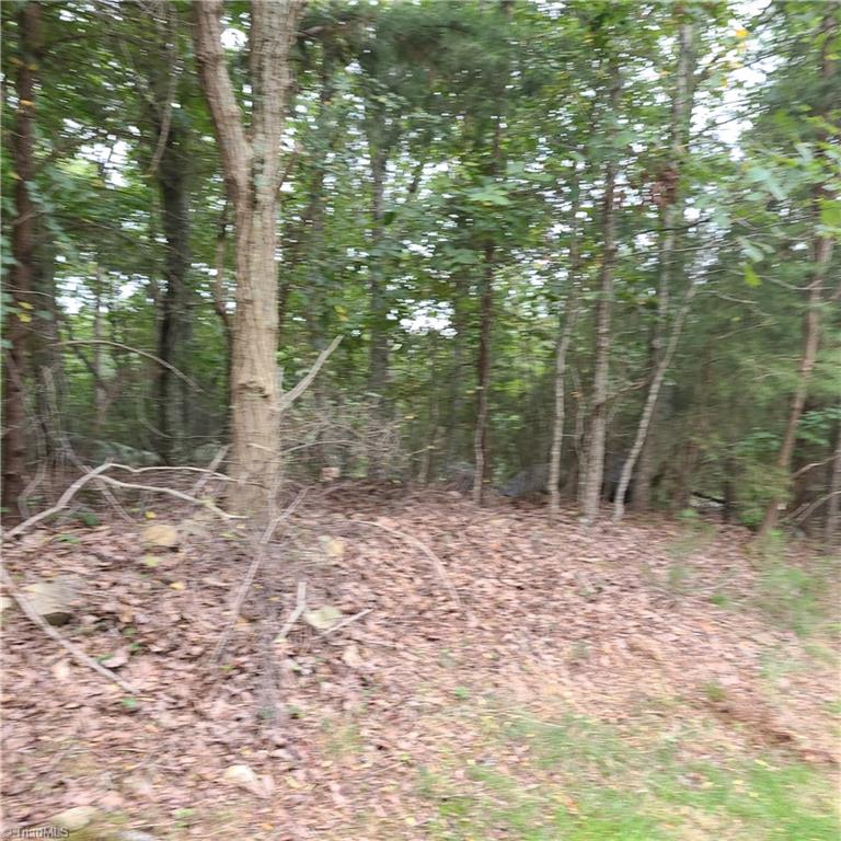156 Sierra Trace Road Denton, NC 27239 - Photo 3 of 6