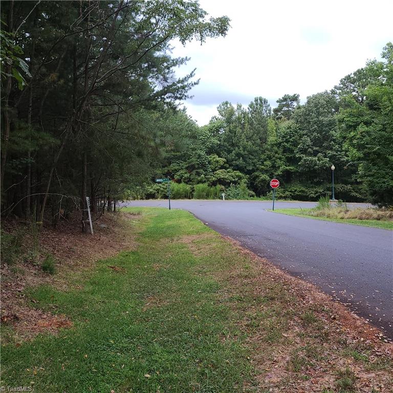 156 Sierra Trace Road Denton, NC 27239 - Photo 4 of 6