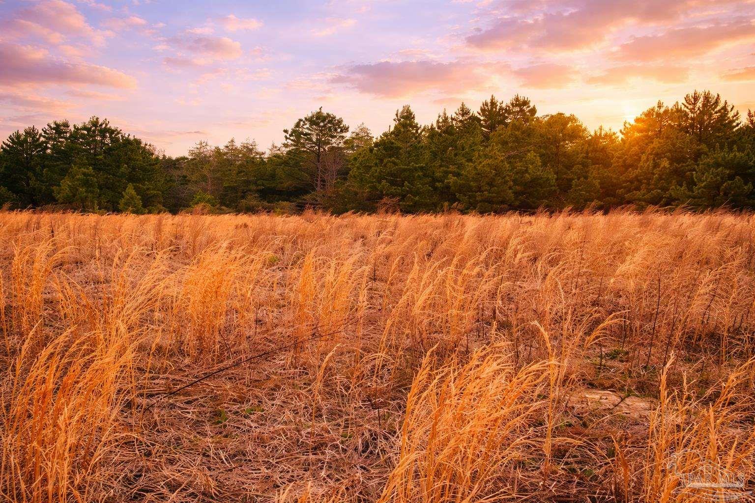 Lot 42 Mineral Springs Road Jay, FL 32565 - Photo 1 of 18 a view of mountain view with trees in the background
