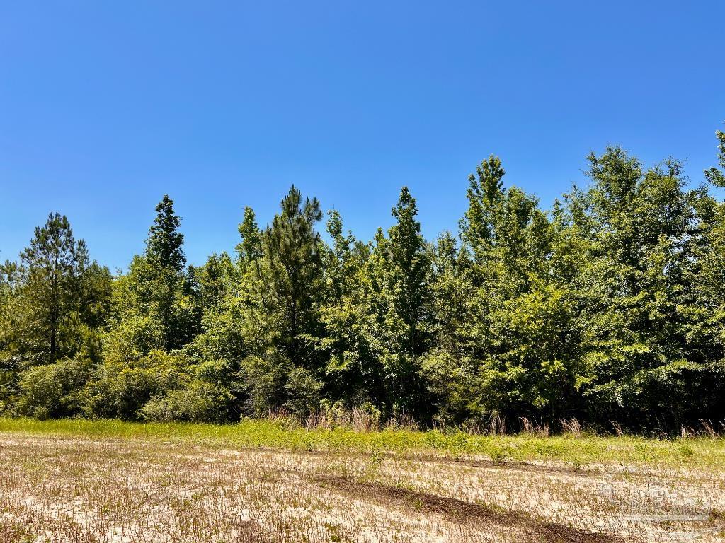Lot 42 Mineral Springs Road Jay, FL 32565 - Photo 12 of 18 a view of swimming pool from a yard