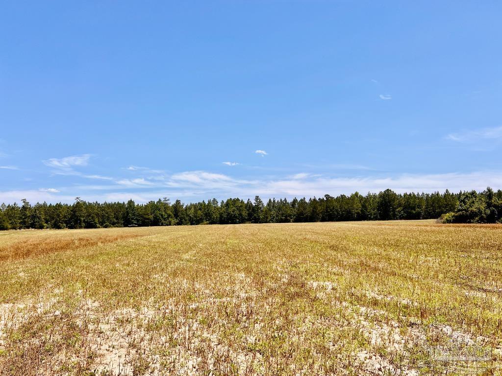 Lot 42 Mineral Springs Road Jay, FL 32565 - Photo 16 of 18 a view of an lake and mountain