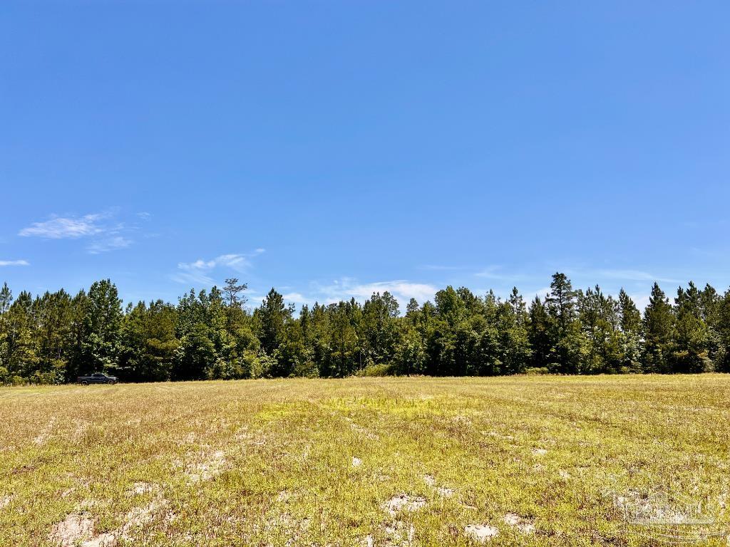 Lot 42 Mineral Springs Road Jay, FL 32565 - Photo 17 of 18 a view of outdoor space and yard