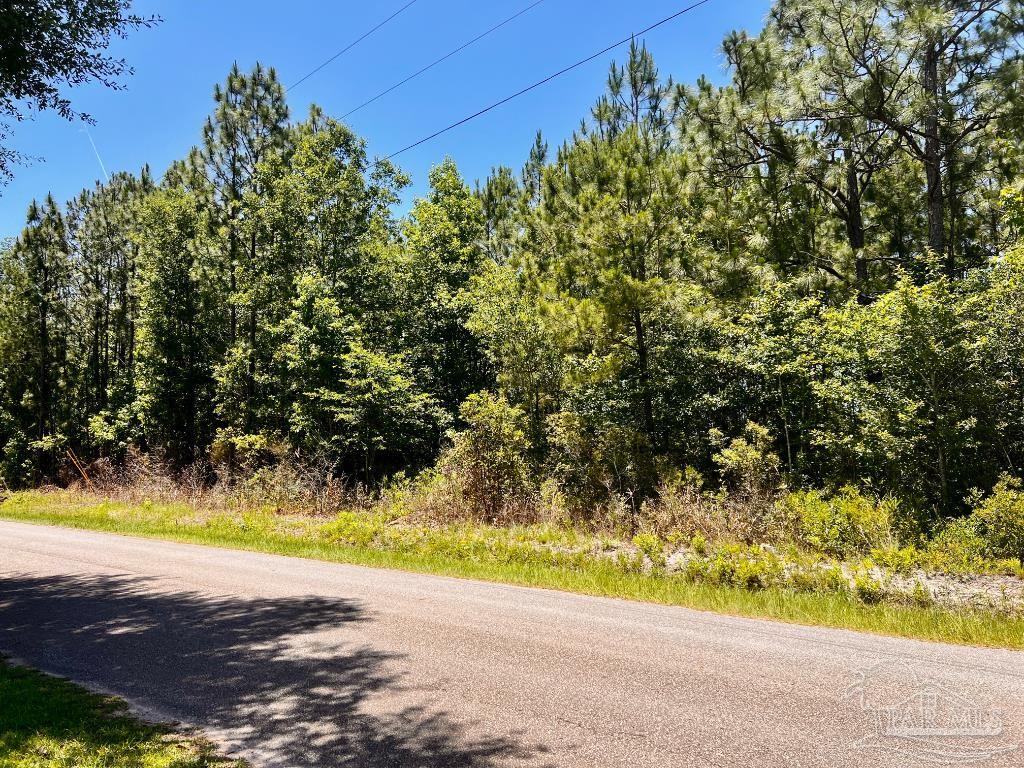Lot 42 Mineral Springs Road Jay, FL 32565 - Photo 3 of 18 a view of a yard with a tree