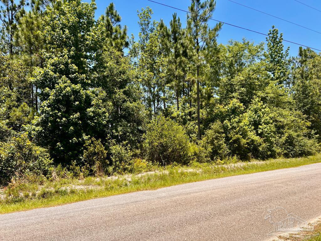 Lot 42 Mineral Springs Road Jay, FL 32565 - Photo 6 of 18 a view of a yard