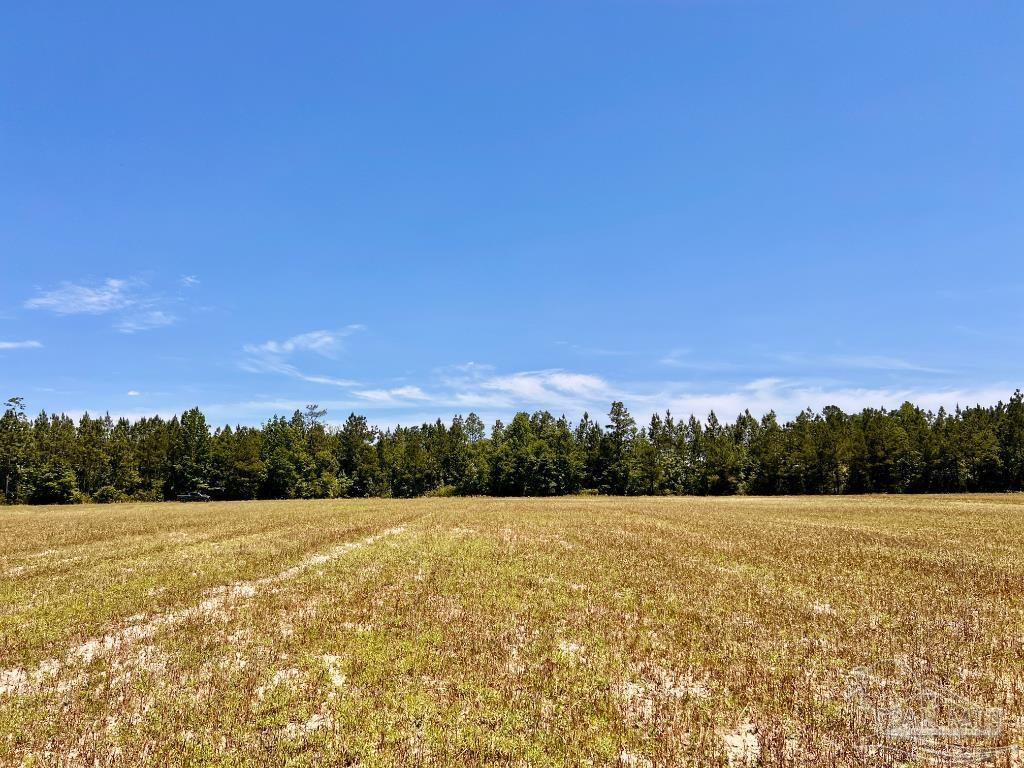 Lot 42 Mineral Springs Road Jay, FL 32565 - Photo 10 of 18 a view of patio and yard