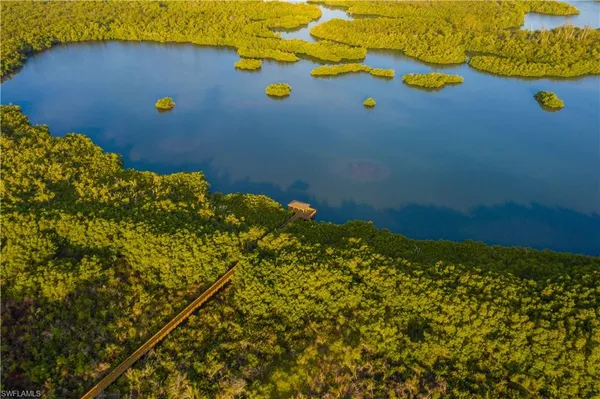 a view of a plants
