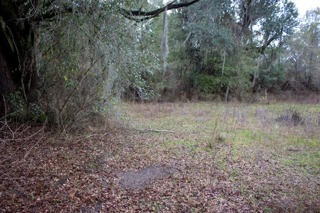 3 Pilgram Ch Road Gordon, AL 36343 - Photo 23 of 28 Gallery Image 23