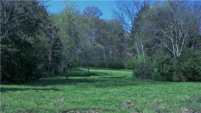 3218 Southall Road Franklin, TN 37064 - Photo 14 of 20 Looking at the backyard. The lot continues through the woods, and there is a logging road that is drivable all the way up to the top. Both corners are marked at the top.