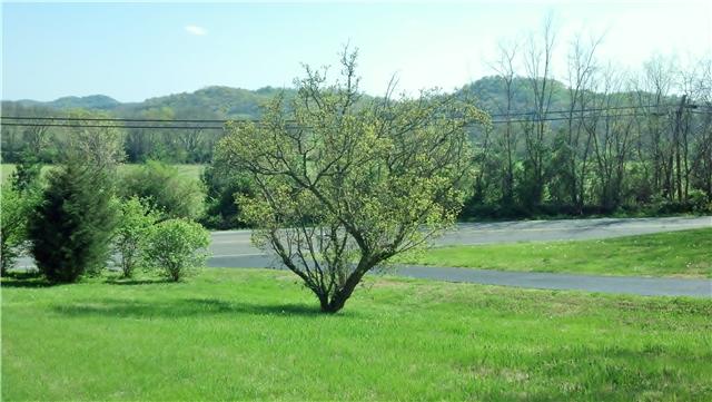 3218 Southall Road Franklin, TN 37064 - Photo 3 of 20 The view from you front yard, looking toward Southall. What a great location and beautiful surroundings!