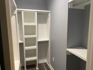 1116 Union Church Road Thomson, GA 30824 - Photo 12 of 26 walk-in closet with built in storage
