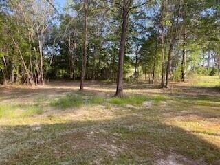 1116 Union Church Road Thomson, GA 30824 - Photo 20 of 26 plenty of rooms for pets or children