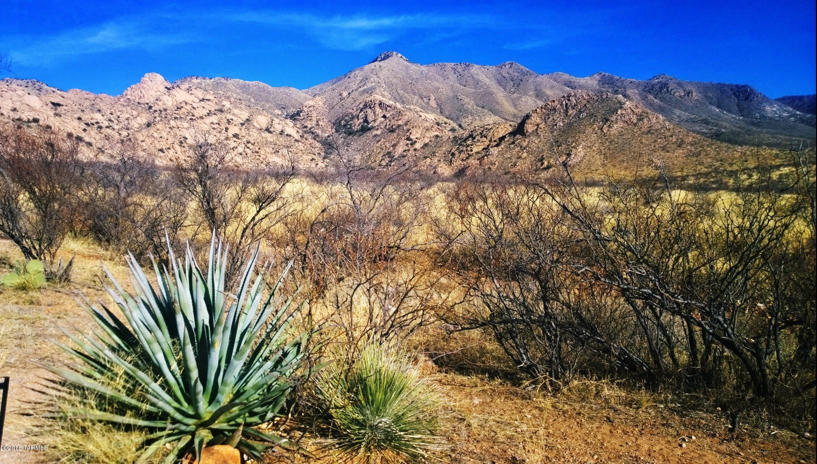 West Jefferson Road Elfrida, AZ 85610 - Photo 1 of 1