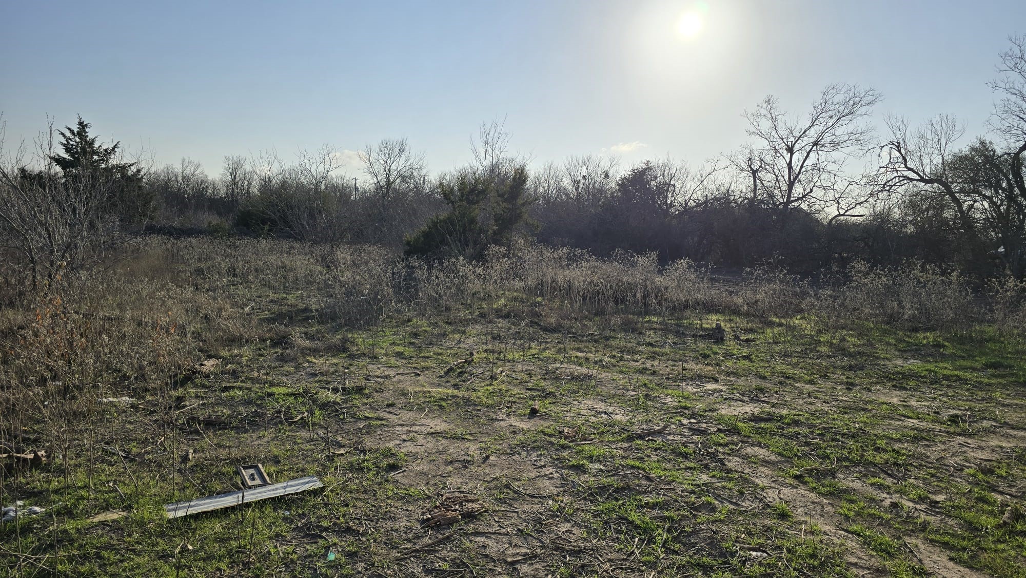 18509 Blake Manor Road Manor, TX 78653 - Photo 11 of 17 a view of a dry yard with trees
