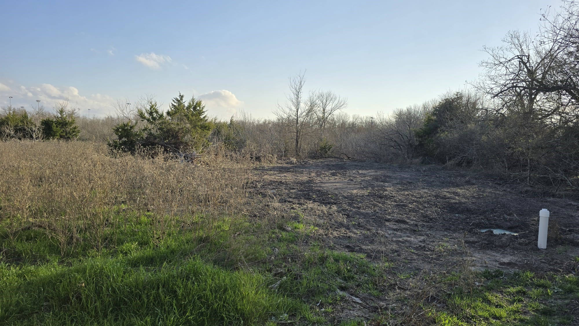 18509 Blake Manor Road Manor, TX 78653 - Photo 12 of 17 a view of a field