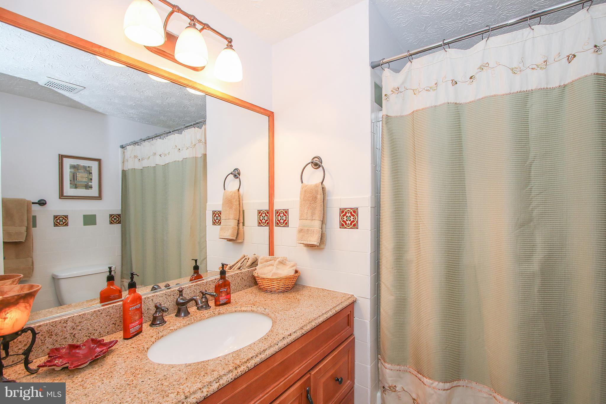 8273 Raindrop Way Springfield, VA 22153 - Photo 22 of 30 Bath